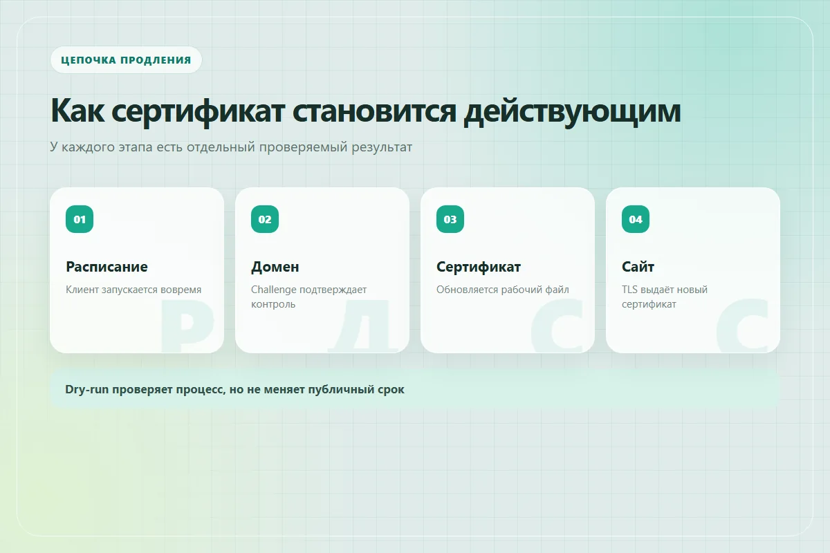Цепочка продления HTTPS: расписание, проверка домена, новый сертификат и публичный ответ